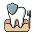 Maxillofacial Surgery